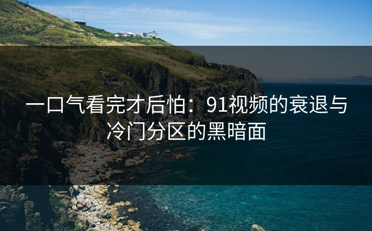 一口气看完才后怕:91视频的衰退与冷门分区的黑暗面